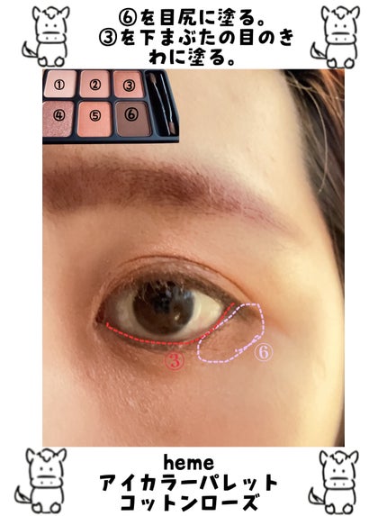 アイカラーパレット コットンローズ/heme/アイシャドウパレットの画像