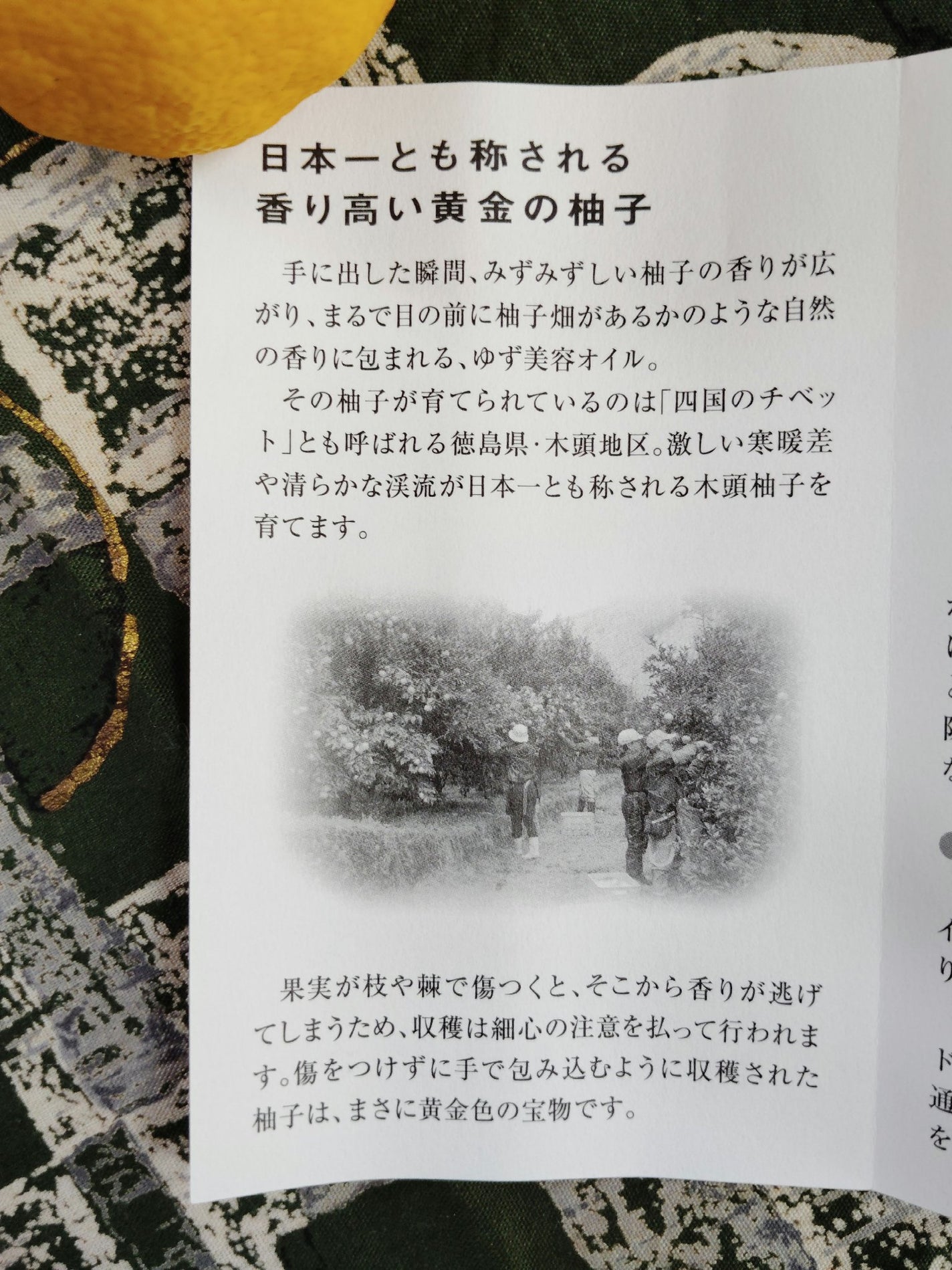 井上誠耕園の美容オリーブオイル 柚子/井上誠耕園/フェイスオイルを使ったクチコミ(5枚目)