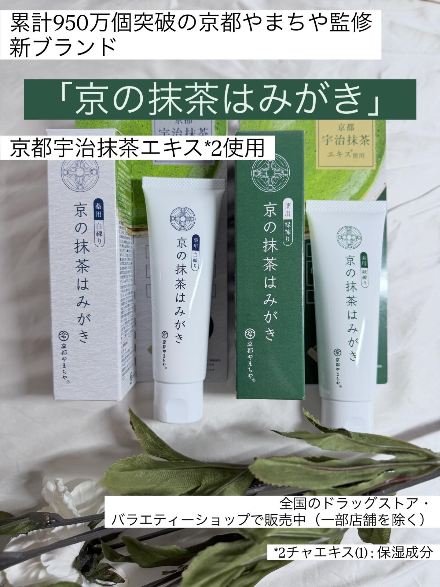 京の抹茶はみがき　薬用緑練り/京都やまちや/歯磨き粉を使ったクチコミ（2枚目）