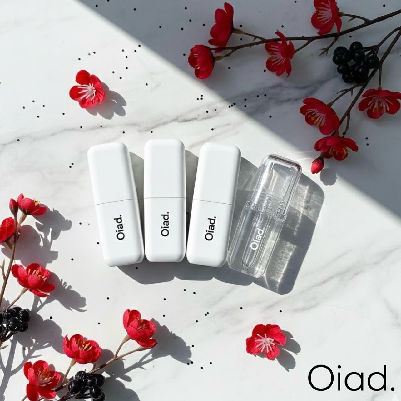 リップティーク/oiad/口紅を使ったクチコミ（1枚目）