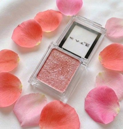 ケイト ザ アイカラー/KATE/単色アイシャドウを使ったクチコミ(2枚目)