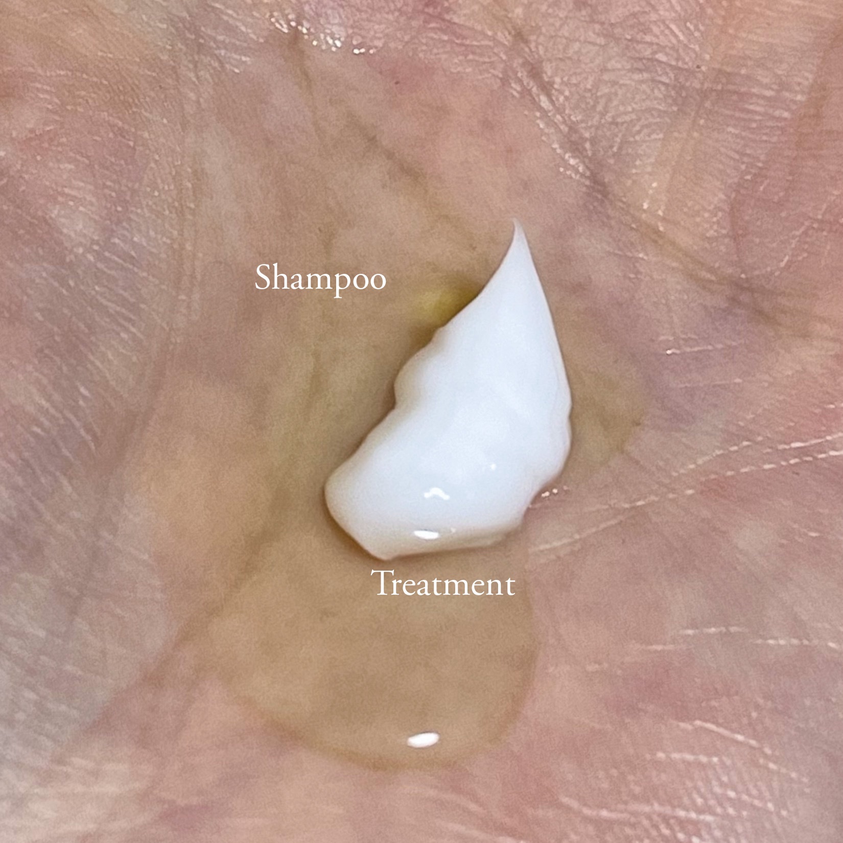 Bio Lucia(ビオルチア) ビオルチアトリートメントのクチコミ「モニターキャンペーンでいただきました。

シャンプーはジェルっぽい結構しっかりしたテクスチャー.....」（2枚目）