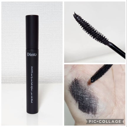 ブラーフィニシュシャドウパレット/Dinto/アイシャドウパレットを使ったクチコミ(8枚目)