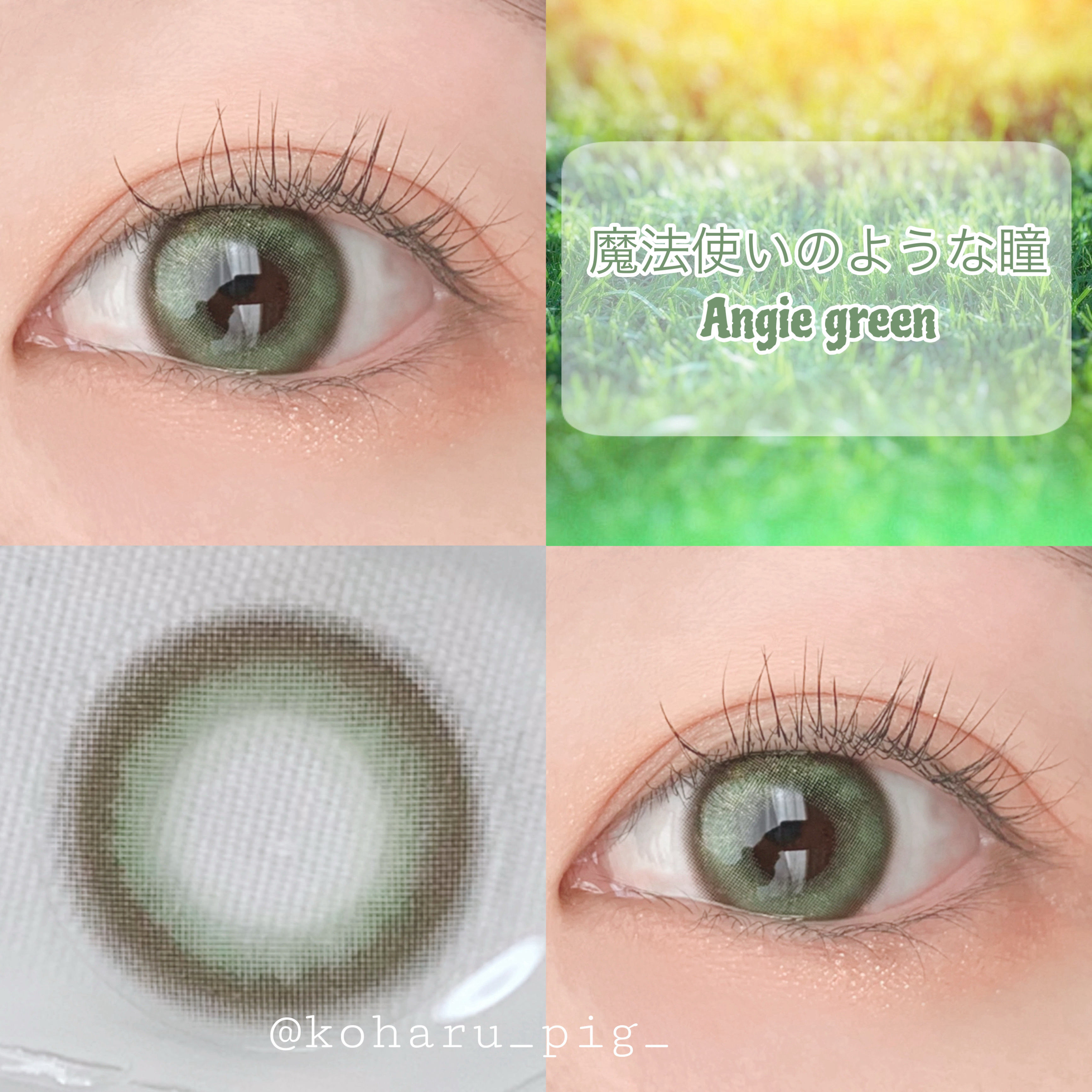 MANY LENS/MANY LENS/カラーコンタクトレンズを使ったクチコミ（1枚目）