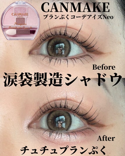 プランぷくコーデアイズNeo/キャンメイク/アイシャドウを使ったクチコミ(1枚目)