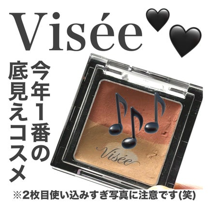 リシェ レッドトリック アイコンシーラー/Visée/パレットコンシーラーを使ったクチコミ(1枚目)