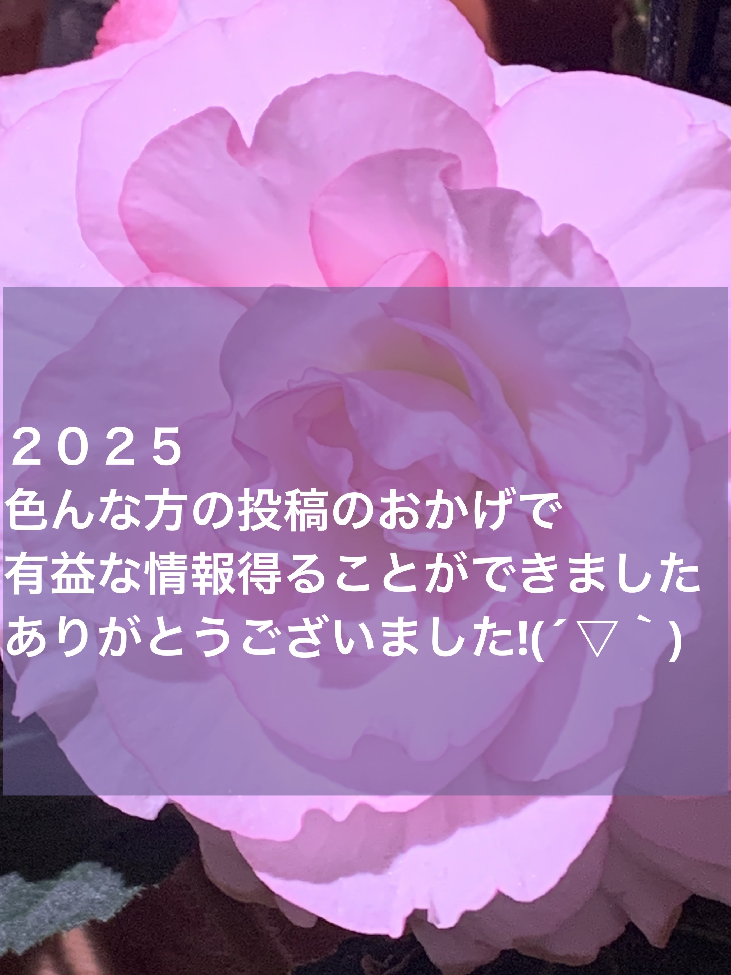 今年最後の投稿にやります(๑•̀ㅂ•́)و✧

来年もよろしくお願いします(*_ _)♡