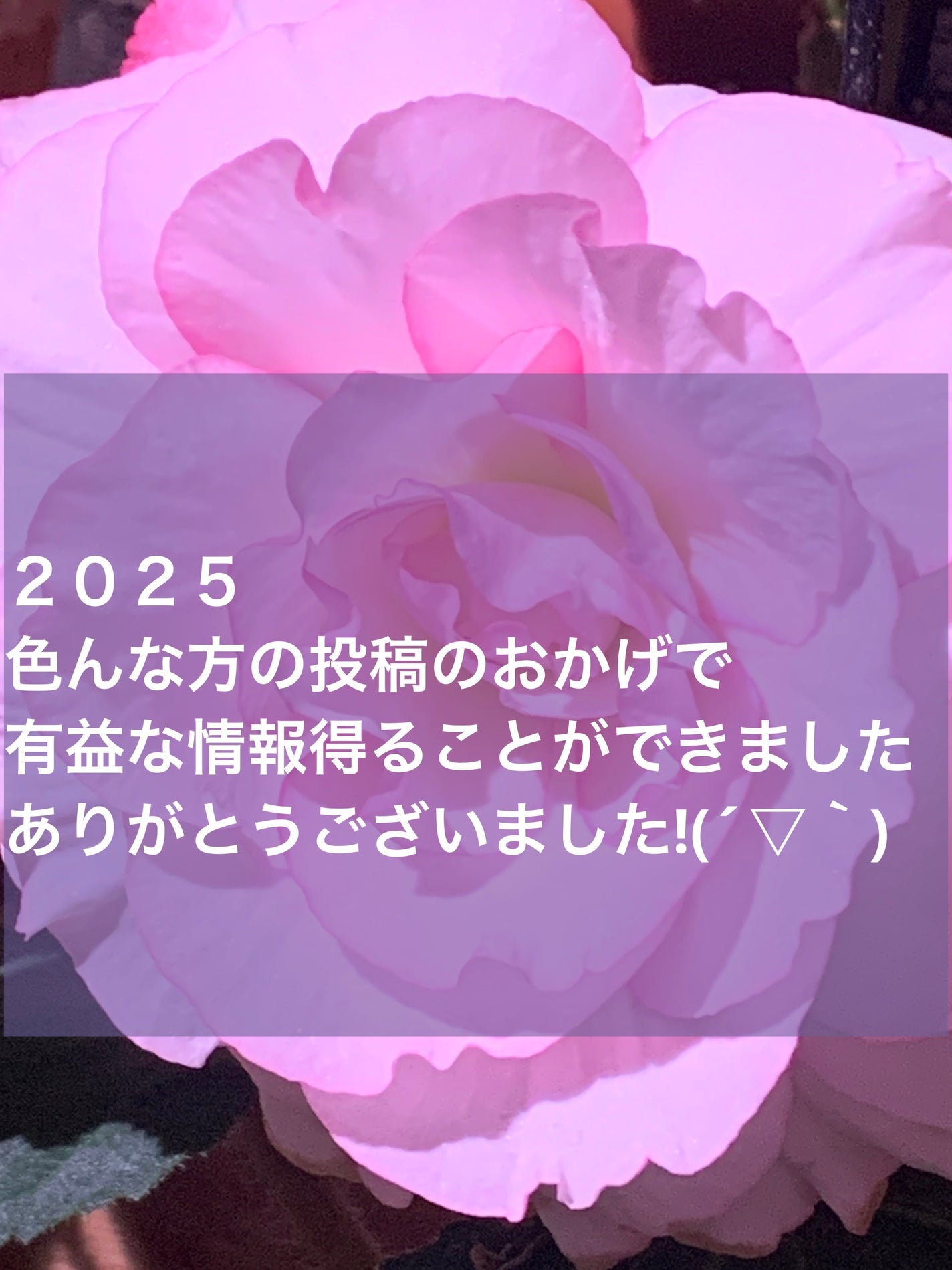 ぽてぃこෆ˚*フォロバ on LIPS 「今年最後の投稿にやります(๑•̀ㅂ•́)و✧来年もよろしくお願..」(1枚目)
