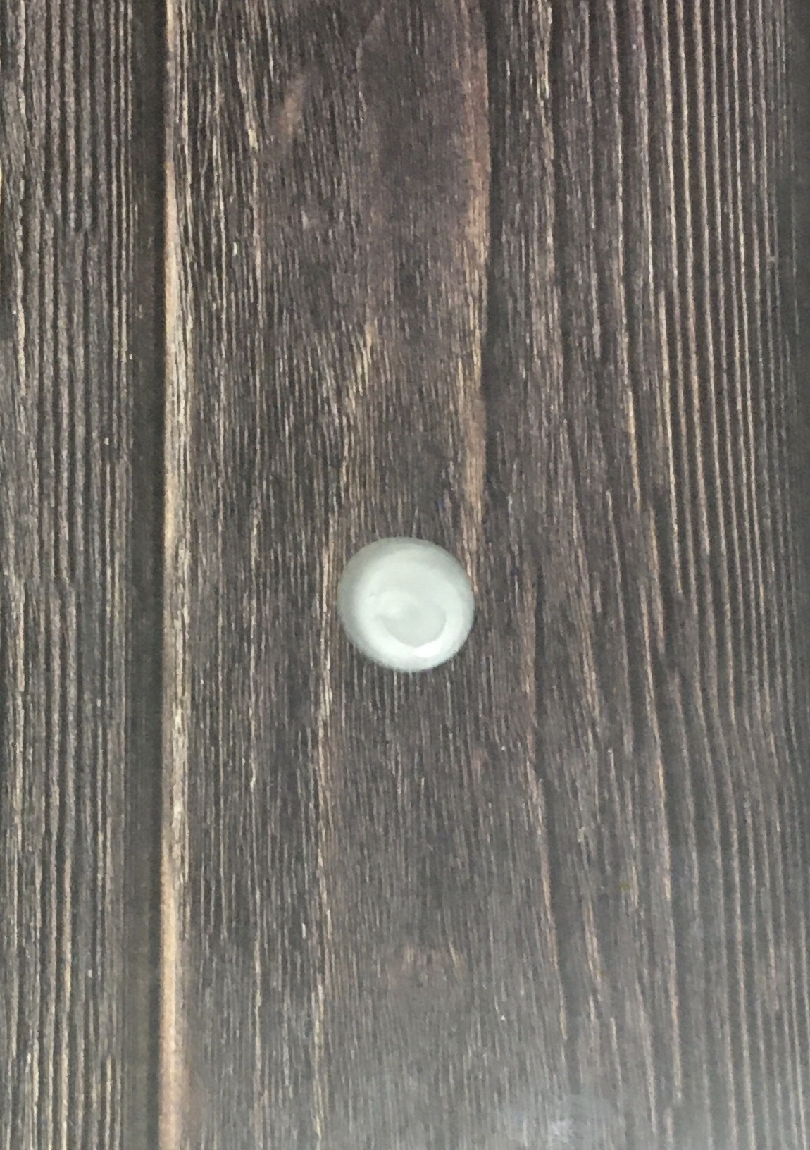 𝒸ℯ𝓃ℯ𝓇ℯフォロバ100始めました🫶🏻のクチコミ「某所で金額調整で購入してみました。

コンディショナー不要と知らず、てっきり透明の液体だと思っ.....」（2枚目）