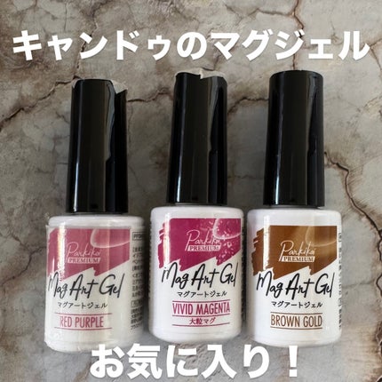 パルP マグアートジェル/parkikoi/ジェルネイルを使ったクチコミ(1枚目)