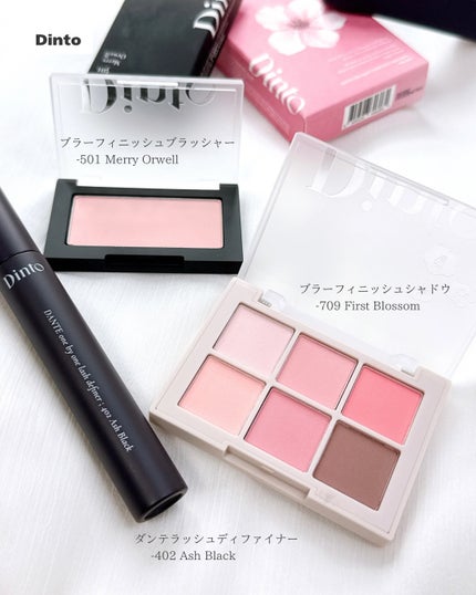 ブラーフィニシュシャドウパレット/Dinto/アイシャドウパレットを使ったクチコミ(2枚目)