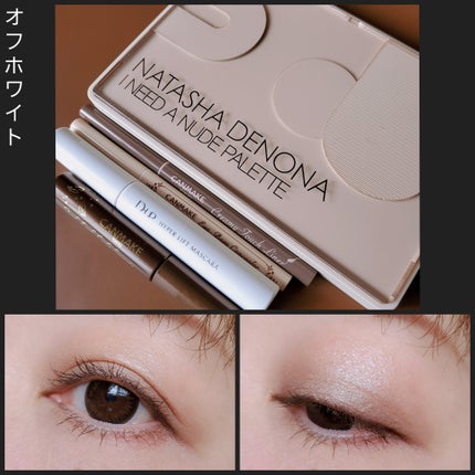 シャドーカスタマイズ/MAJOLICA MAJORCA/単色アイシャドウを使ったクチコミ(2枚目)