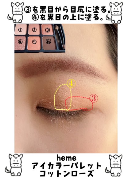 アイカラーパレット コットンローズ/heme/アイシャドウパレットの画像