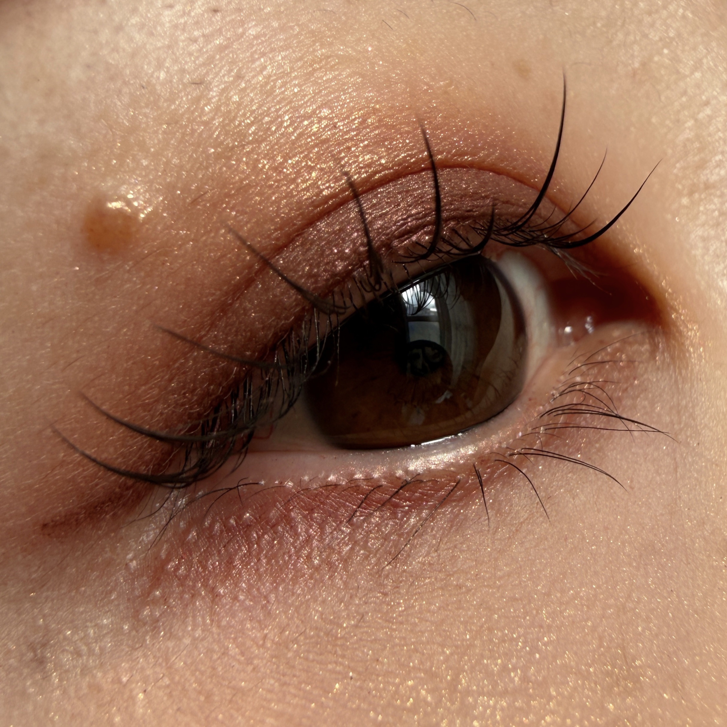 Bloom Collection カスタマイズアイカラー アソート（限定カラー） EX01 キャメルマーブルアソート/マキアージュ/アイシャドウを使ったクチコミ（1枚目）