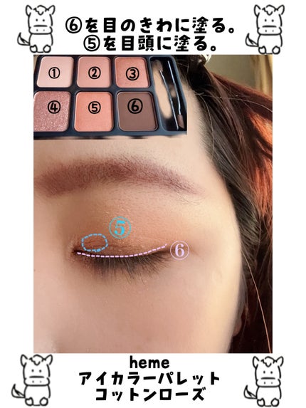 アイカラーパレット コットンローズ/heme/アイシャドウパレットの画像