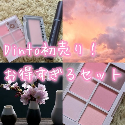 ブラーフィニシュブラッシャー/Dinto/パウダーチークを使ったクチコミ(1枚目)