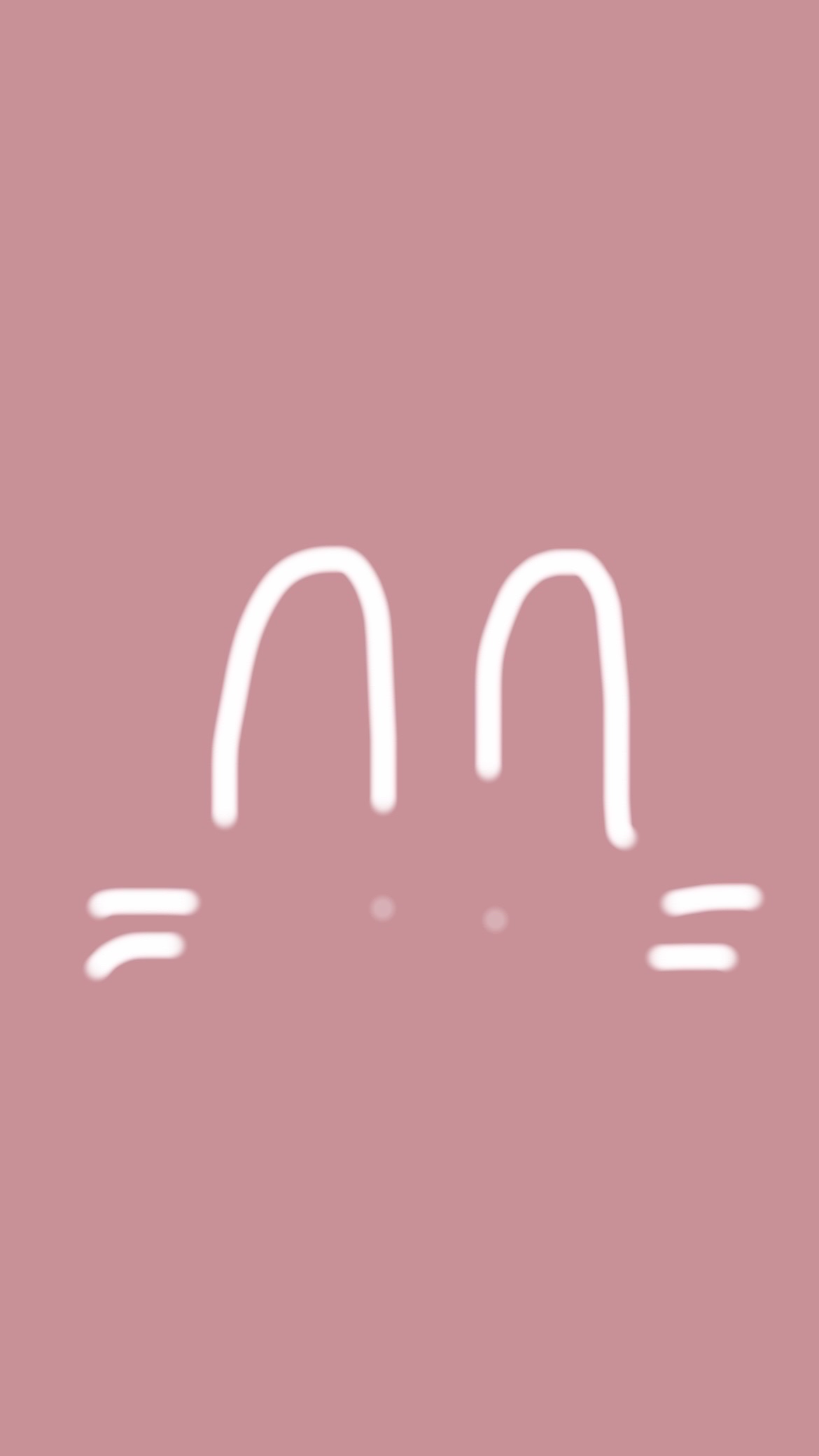 ストロベリーロココ チークブラッシュ/FlowerKnows/パウダーチークを使ったクチコミ（1枚目）