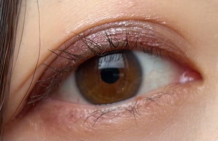 6色アイシャドウパレット/and us/アイシャドウパレットを使ったクチコミ(2枚目)