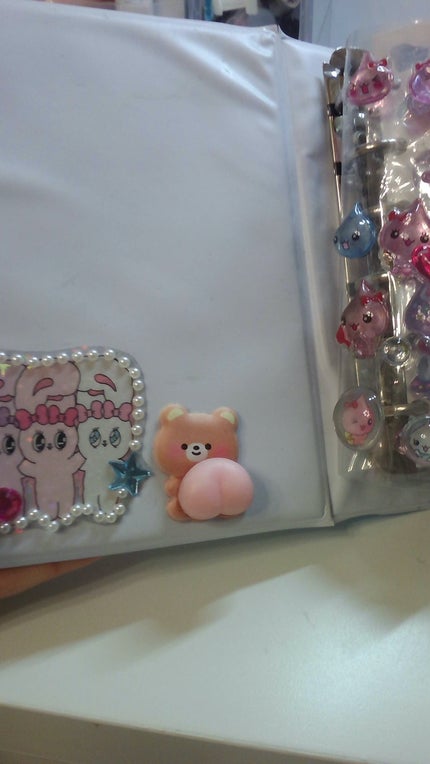 せいら on LIPS 「シール帳紹介‼動画にしてみたよ!!..」(3枚目)