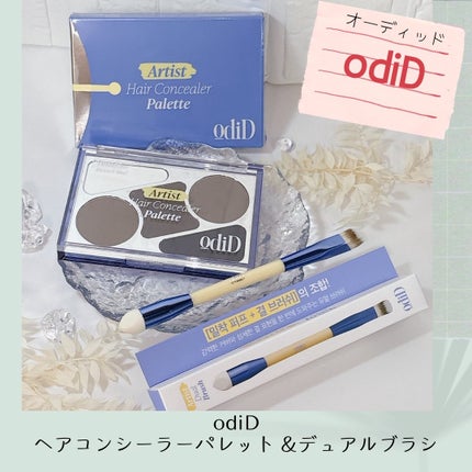 ヘアコンシーラーパレット&アーティスト デュアルブラシ/odiD/その他スタイリングを使ったクチコミ(1枚目)
