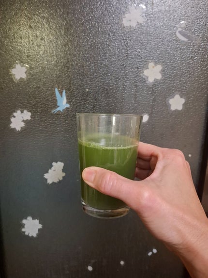 ニッショク ぎゅっとフルーツ青汁のクチコミ「ニッショク公式アンバサダー
ぎゅっとフルーツ青汁
たくさんのフルーツがぎゅっと.....」(3枚目)