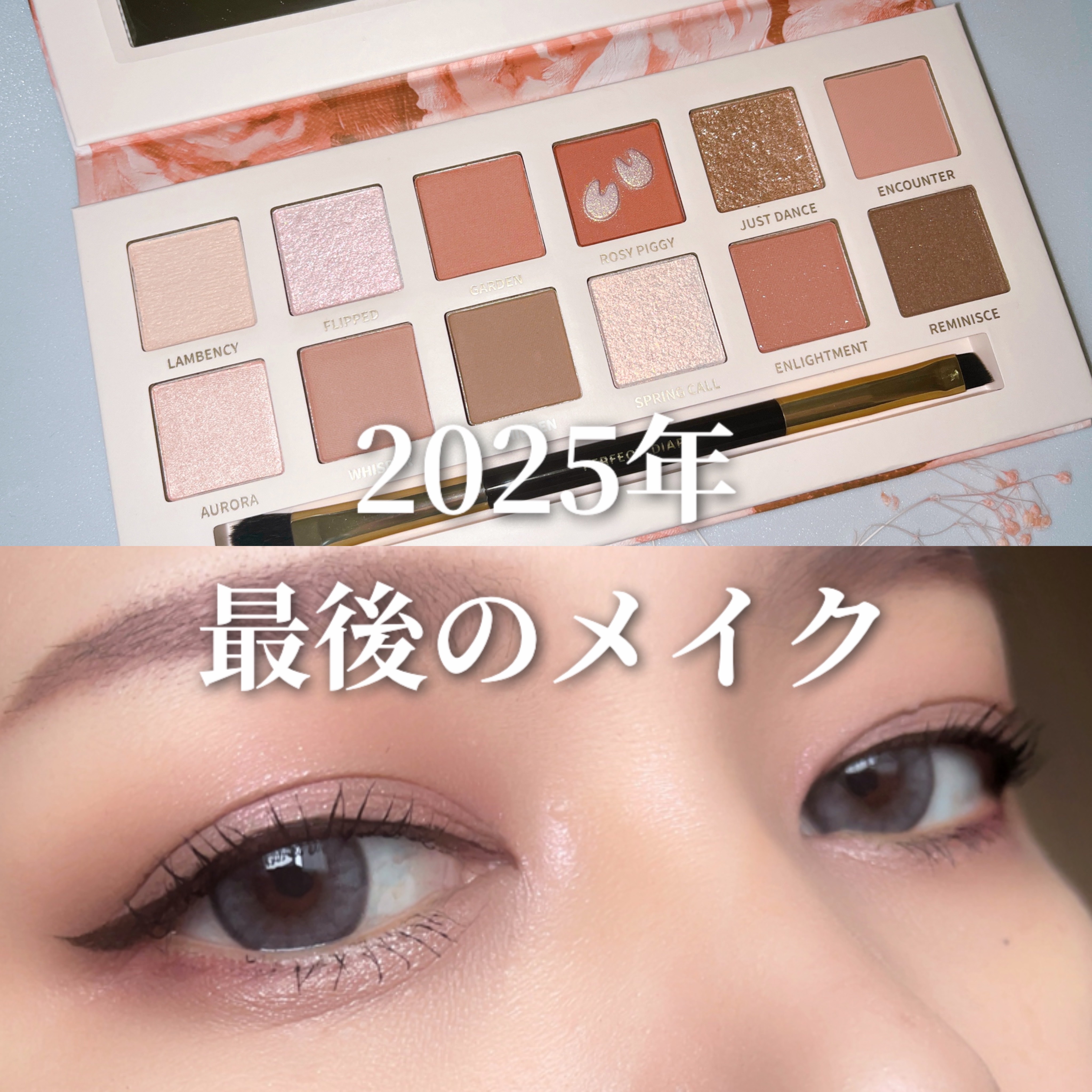 エクスプローラ12色 動物アイシャドウパレット ローズピンク/PERFECT DIARY/アイシャドウパレットを使ったクチコミ（1枚目）