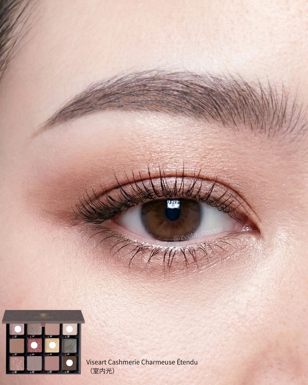 Étendu Palette /VISEART/アイシャドウパレットを使ったクチコミ（2枚目）