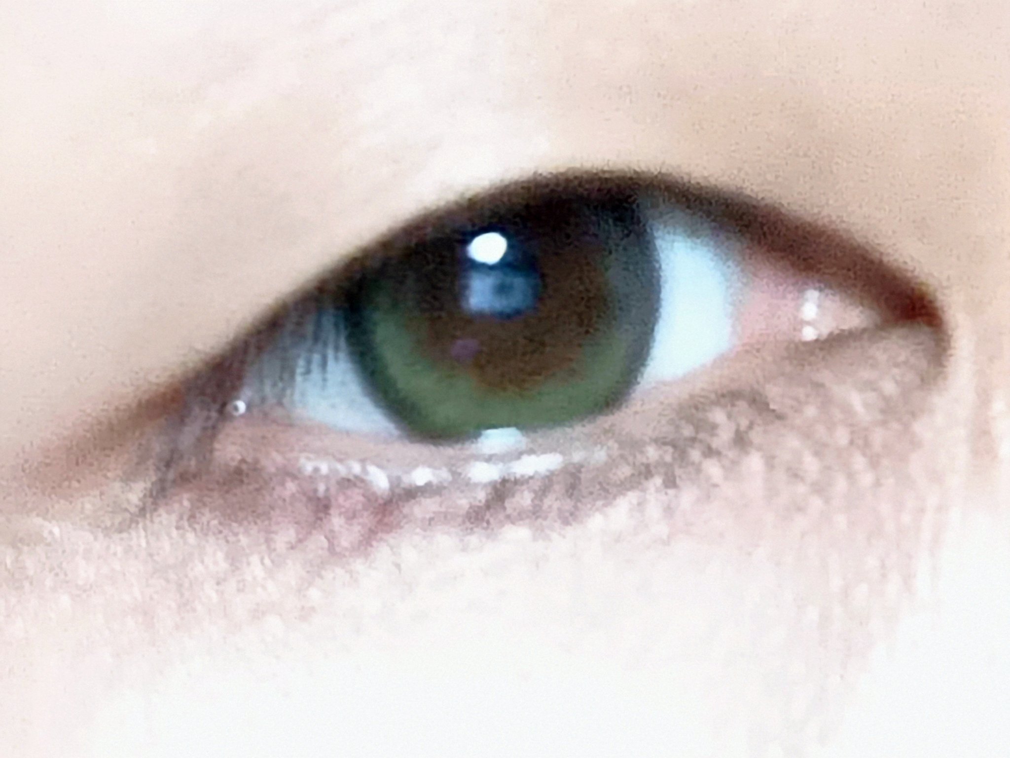 せかいのふるーりー/Flurry by colors/ワンデー（１DAY）カラコンを使ったクチコミ（1枚目）