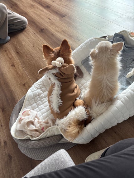 THE ANSWER EXモイストトリートメント FOR DAILY DAMAGE/THE ANSWER/洗い流すヘアトリートメントを使ったクチコミ(7枚目)