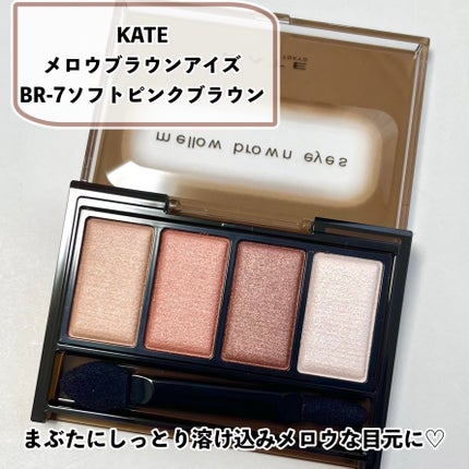ケイト メロウブラウンアイズ/KATE/アイシャドウパレットを使ったクチコミ(2枚目)