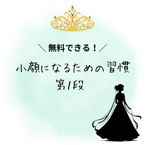 ネコかっさ/セリア/かっさプレートを使ったクチコミ（1枚目）
