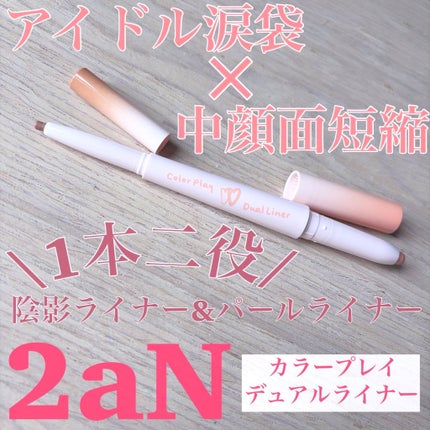 カラープレイデュアルライナー/2aN/スティックアイシャドウを使ったクチコミ(1枚目)