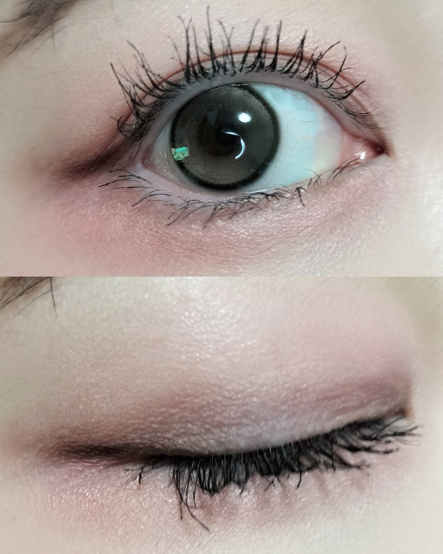 ソフトシアーマルチパレット/wakemake/アイシャドウパレットを使ったクチコミ(5枚目)