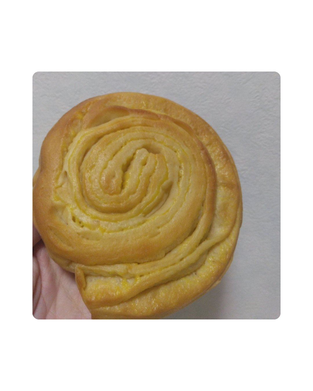 プロテインブレット/からだWelcia・くらしWelcia/その他食品を使ったクチコミ（2枚目）