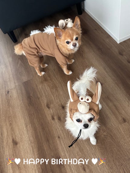 ディオール ヴェルニ/Dior/マニキュアを使ったクチコミ(6枚目)