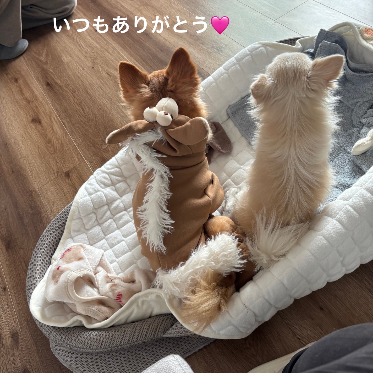 ディオール ヴェルニ/Dior/マニキュアを使ったクチコミ(7枚目)