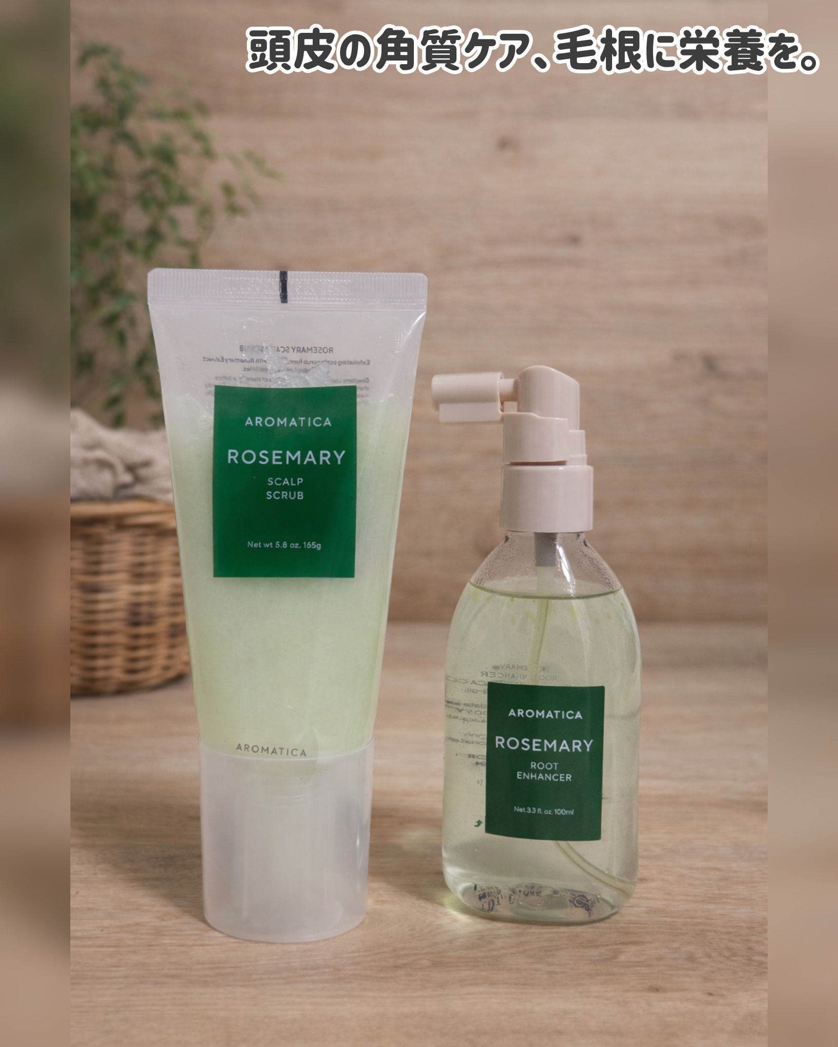 ローズマリールートエンハンサー/AROMATICA/頭皮ローションを使ったクチコミ（1枚目）