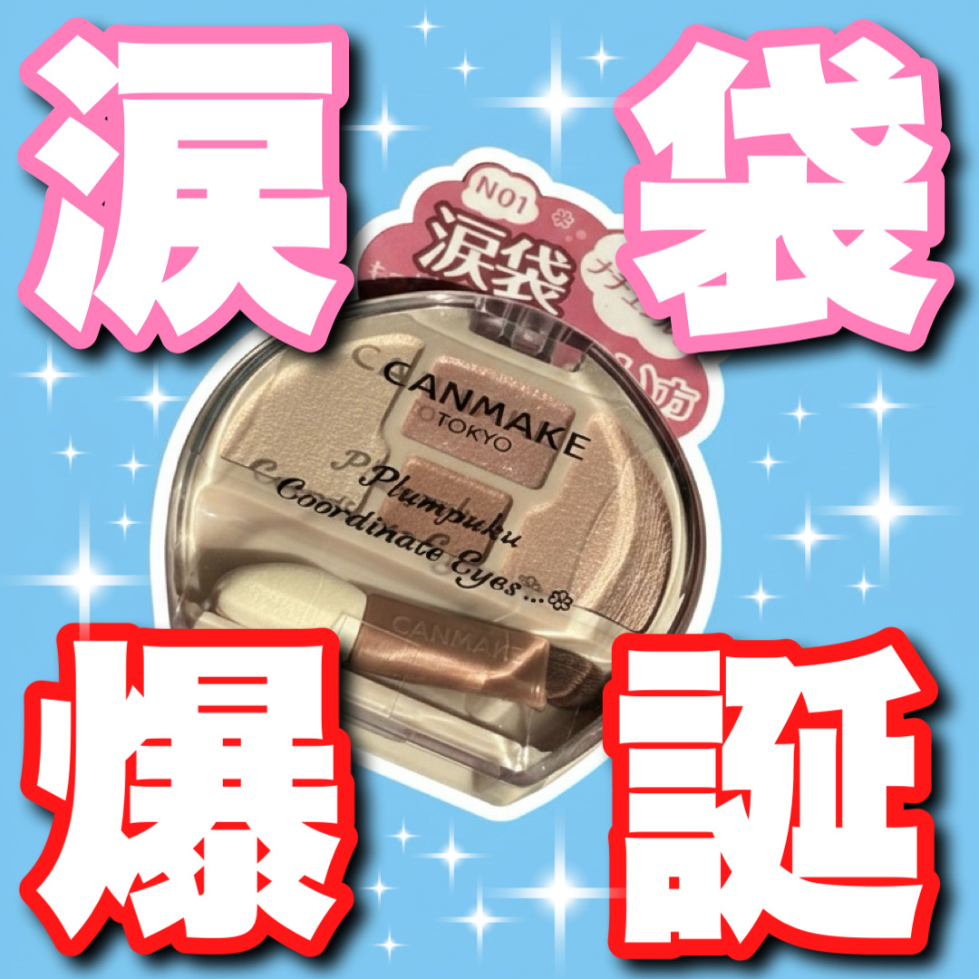 プランぷくコーデアイズNeo/キャンメイク/アイシャドウを使ったクチコミ（1枚目）