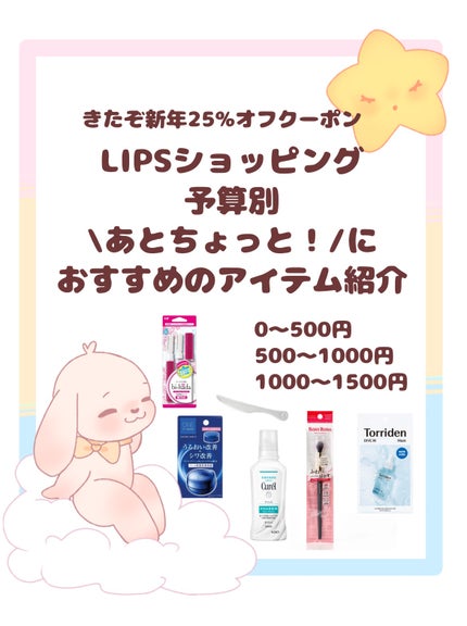 bi-hada ompa L ホルダー替刃2個付/貝印/シェーバーを使ったクチコミ(1枚目)