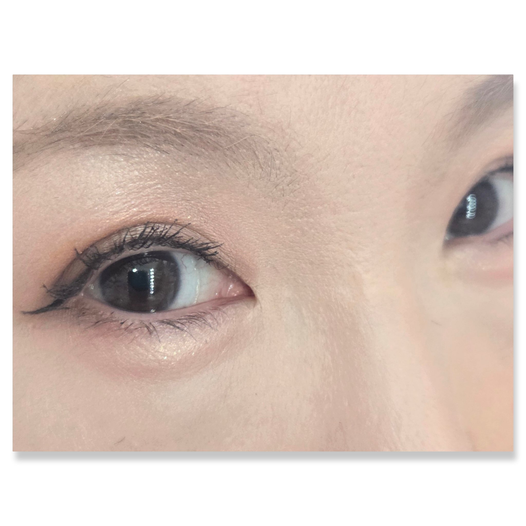 パラドゥ シングルアイシャドウ	/パラドゥ/単色アイシャドウを使ったクチコミ（2枚目）