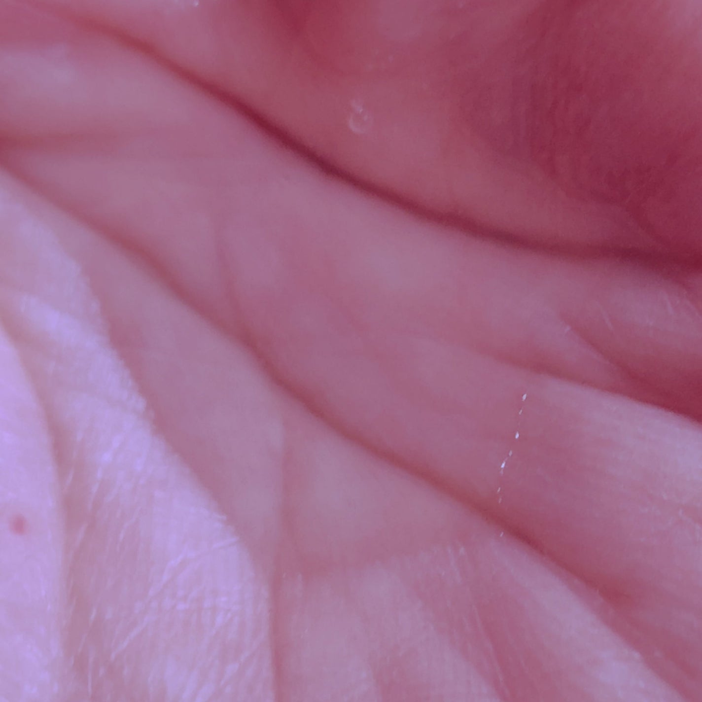 薬用リンクルブライト化粧水/無印良品/化粧水を使ったクチコミ(3枚目)