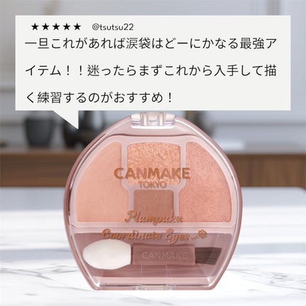 プランぷくコーデアイズ/キャンメイク/パウダーアイシャドウを使ったクチコミ(1枚目)