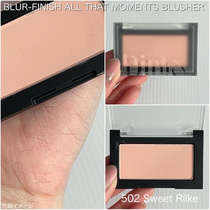 ブラーフィニシュシャドウパレット/Dinto/アイシャドウパレットを使ったクチコミ(4枚目)