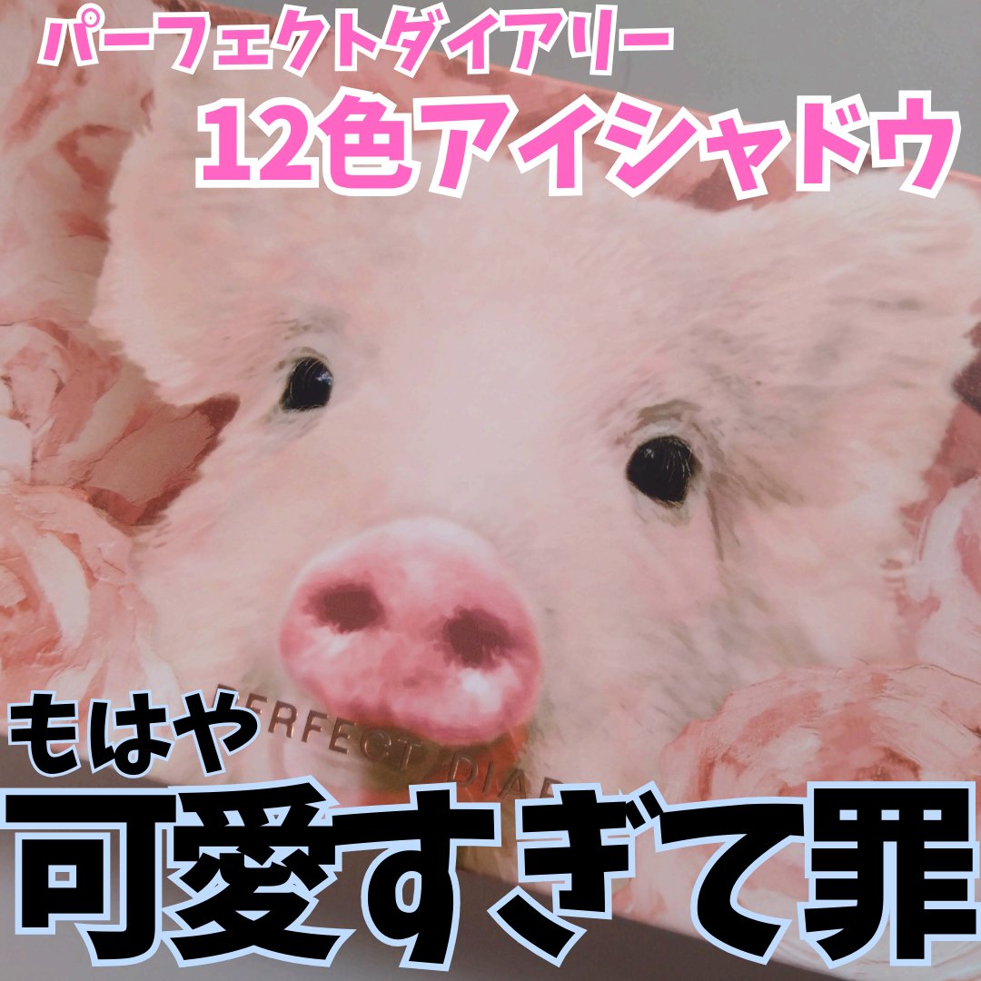 エクスプローラ12色 動物アイシャドウパレット/PERFECT DIARY/アイシャドウパレットを使ったクチコミ（1枚目）