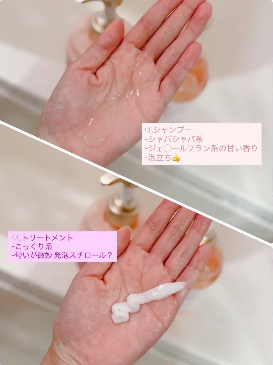 ãšã¢ãªãŒ&ã€ãŒãžãŒ ã¡ã«ãã£ãªã㢠ã·ã£ã³ããŒ/ããªãŒãã¡ã³ã/ãšã¢ãªãŒ&ã€ãŒãžãŒ/åžè²©ã·ã£ã³ããŒã䜿ã£ãã¯ãã³ãïŒ2æç®ïŒ