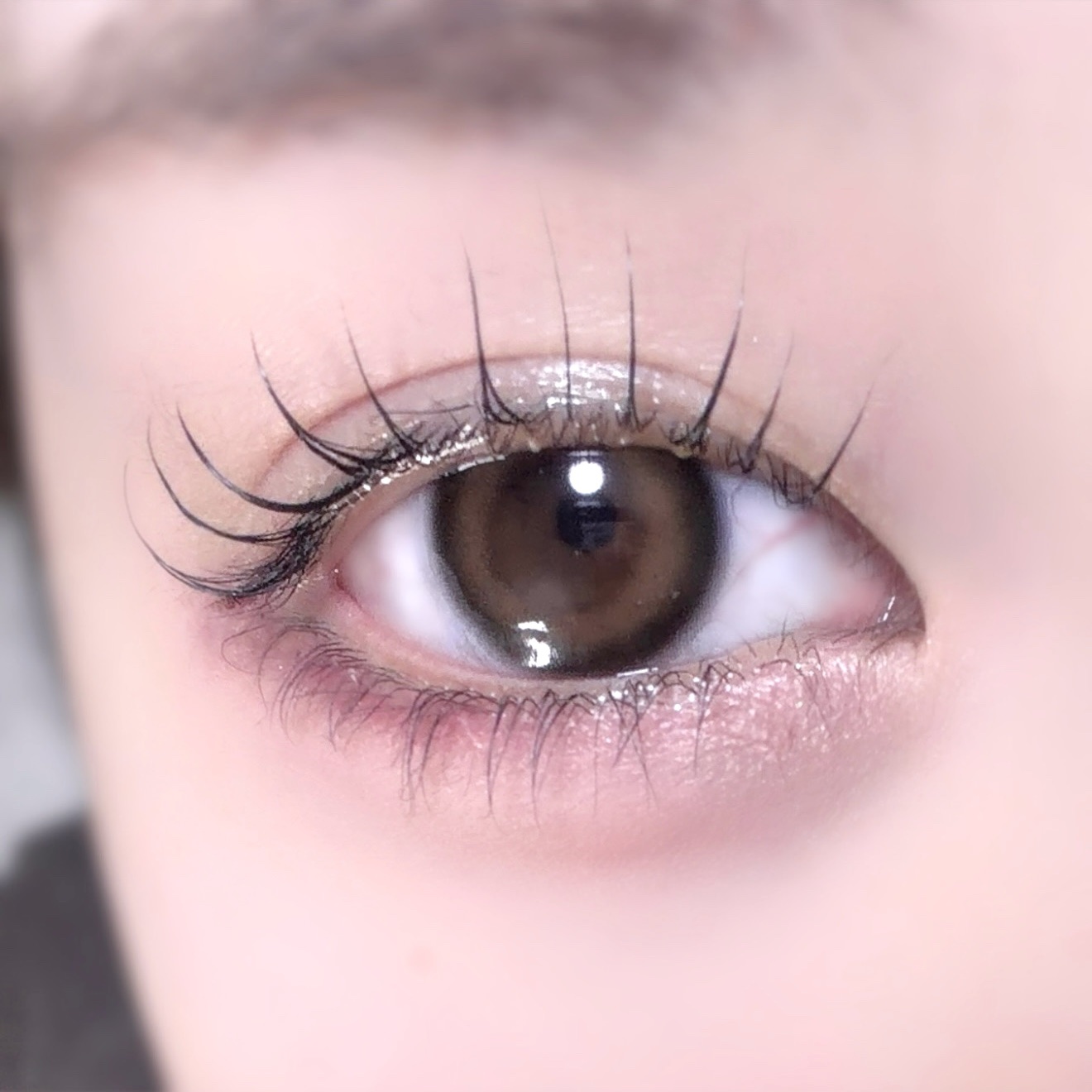 2025年この組み合わせばっかりだった気がする😂