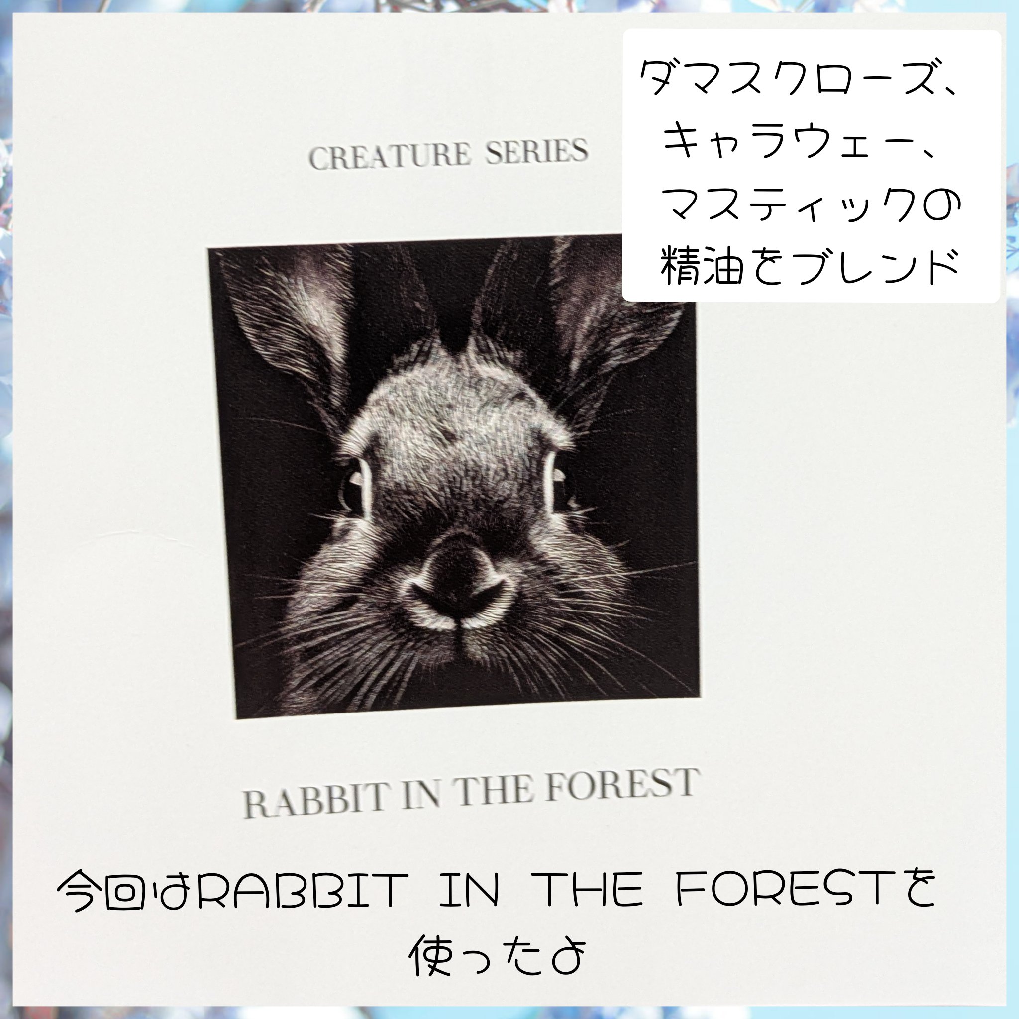 RABBIT IN THE FOREST（森の中の兎）バスフレグランス/BAE/保湿系入浴剤を使ったクチコミ（3枚目）