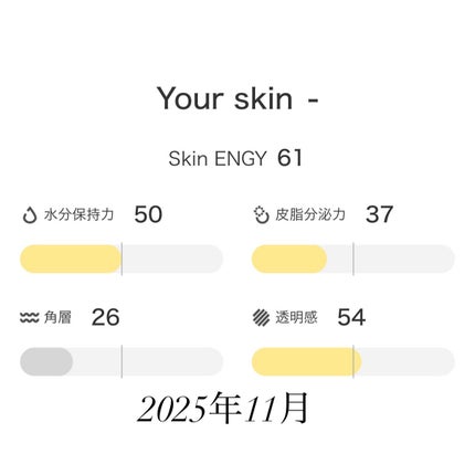 リファイニングローションe/IPSA/拭き取り化粧水を使ったクチコミ(2枚目)