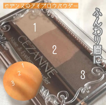ノーズ&アイブロウパウダー/CEZANNE/パウダーアイブロウを使ったクチコミ(1枚目)