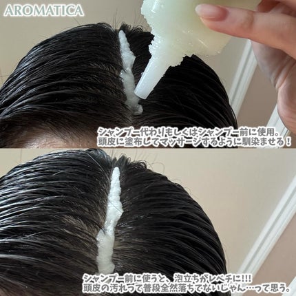 ローズマリー スカルプ スクラブ/AROMATICA/ヘッドスクラブを使ったクチコミ(3枚目)